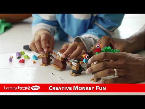 Creative Monkey Fun