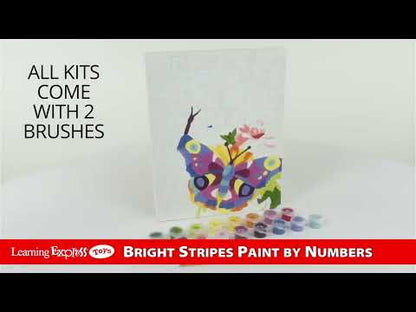 X Paint Number Butterflie