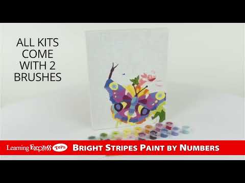 X Paint Number Butterflie