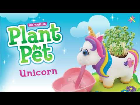 X Self-Watering Pet Unico
