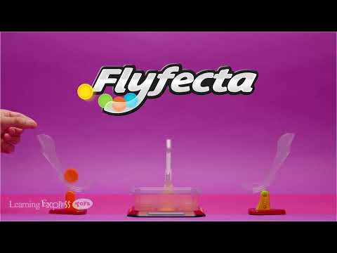 X Flyfecta