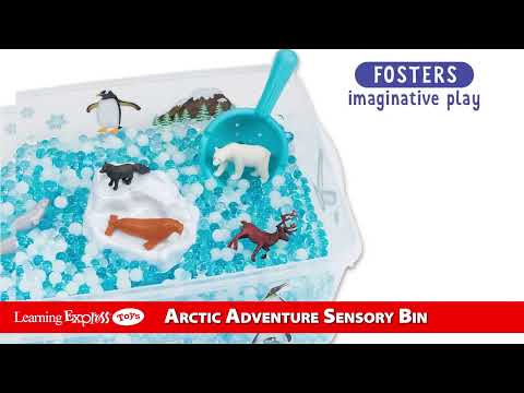 X Sensory Arctic Adventur