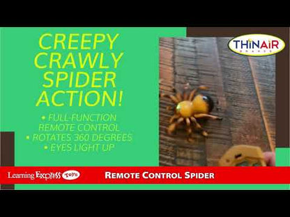 D Rc Spider Brown