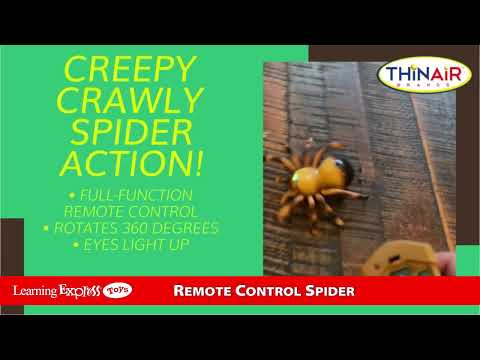 D Rc Spider Brown