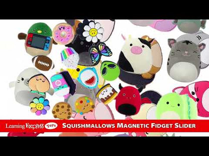 X Sliders Squishmallows