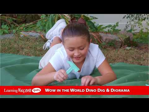 Dino Dig and Diorama