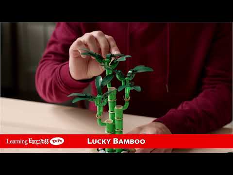 Lego® Lucky Bamboo