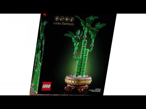 Lego® Lucky Bamboo