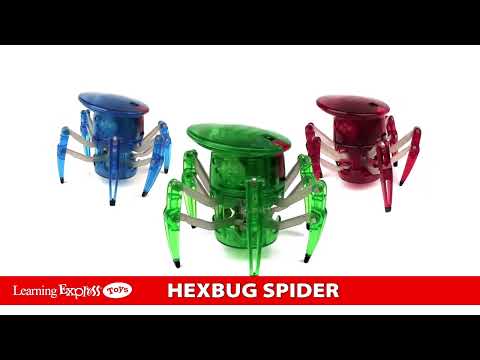 Hexbug Spider