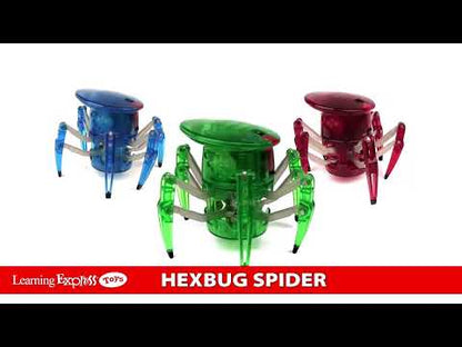 Hexbug Spider