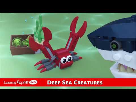 Deep Sea Creatures