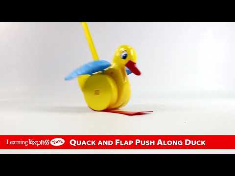 X Quack and Flap