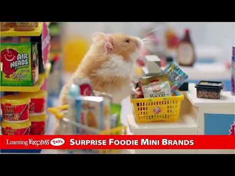 Foodie Mini Brands