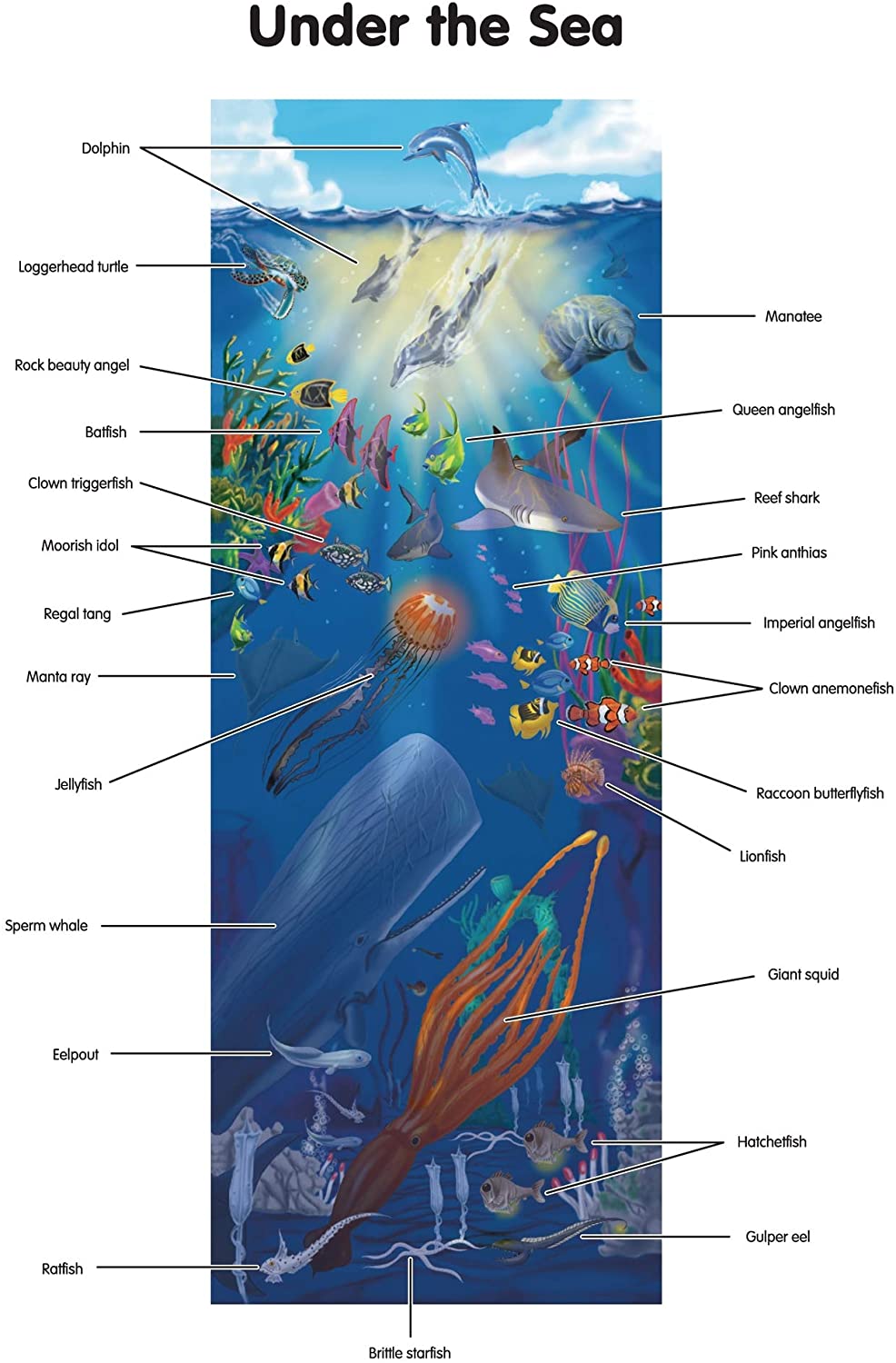 Undersea Floor Puzzle