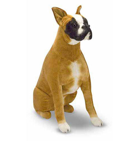 Boxer