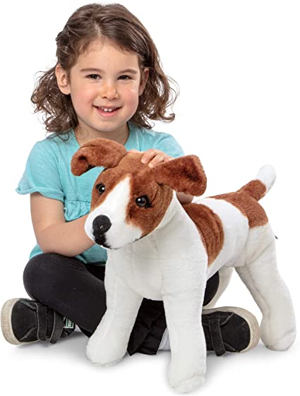 Jack Russell Terrier