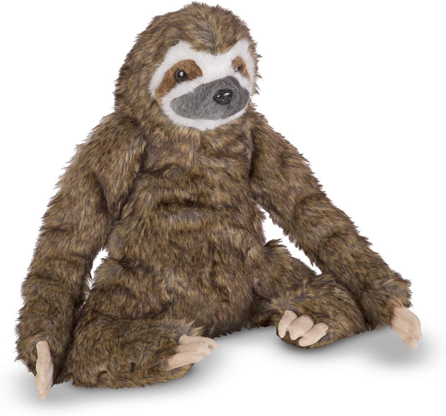 Sloth