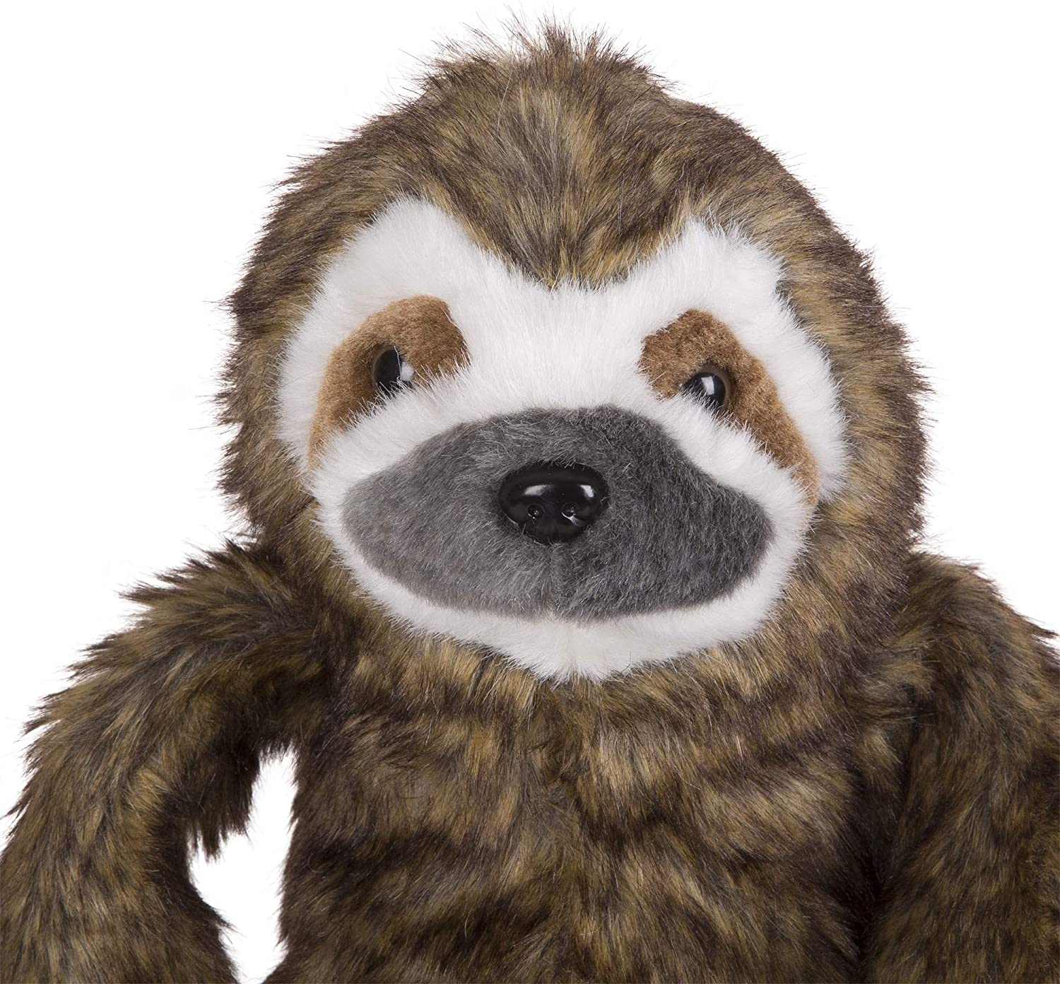 Sloth