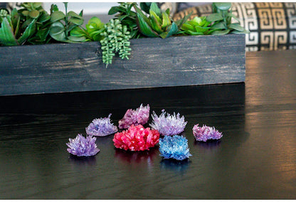Crystal Growing Deluxe