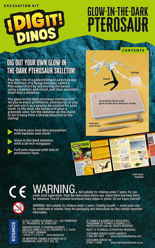 X * Glow in Dark Pterosau