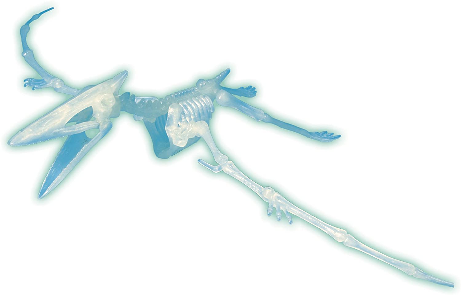 X * Glow in Dark Pterosau