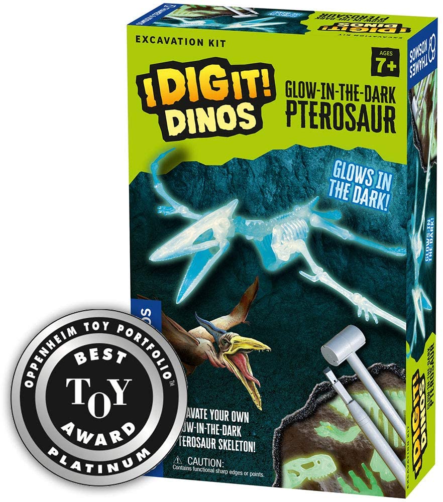 X * Glow in Dark Pterosau