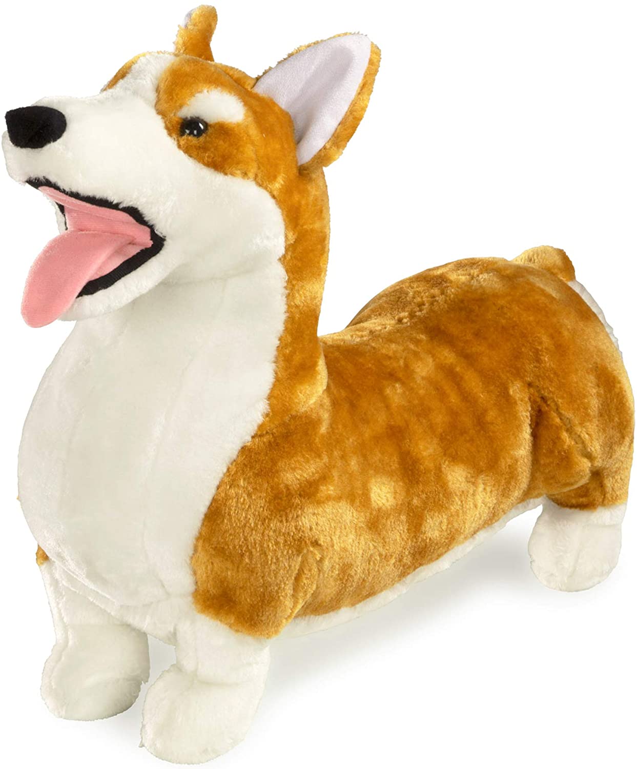 D Corgi