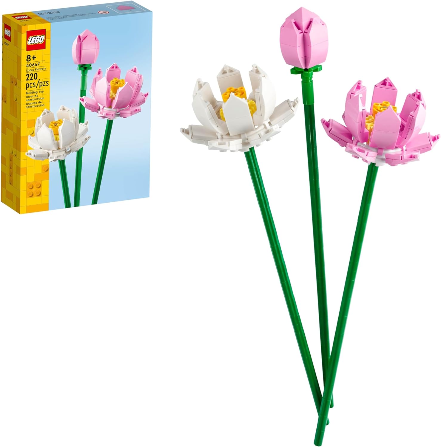 Lotus Flower