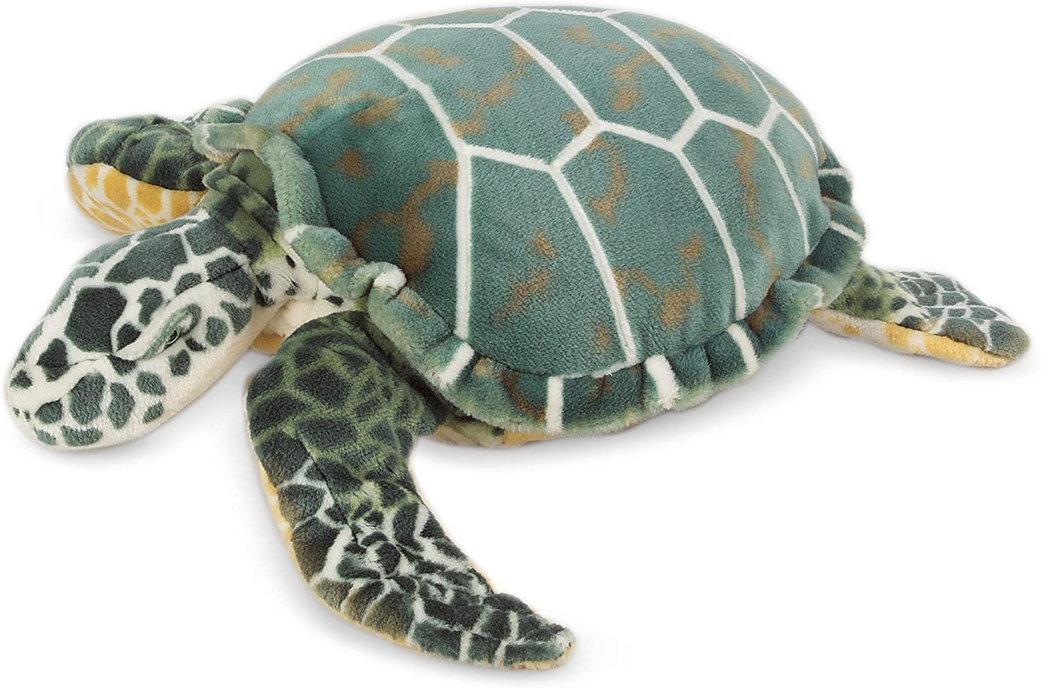 Sea Turtle