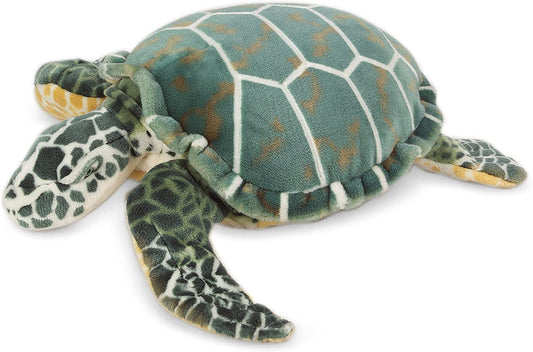 Sea Turtle