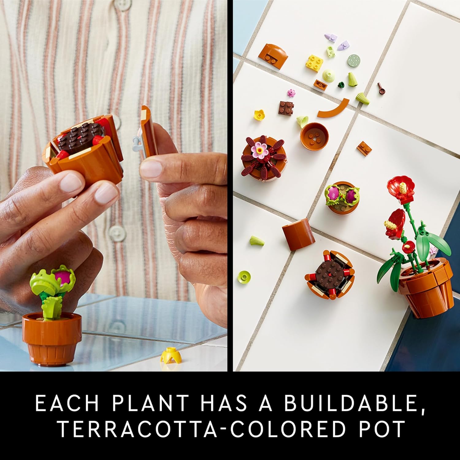 Tiny Plants Botanical