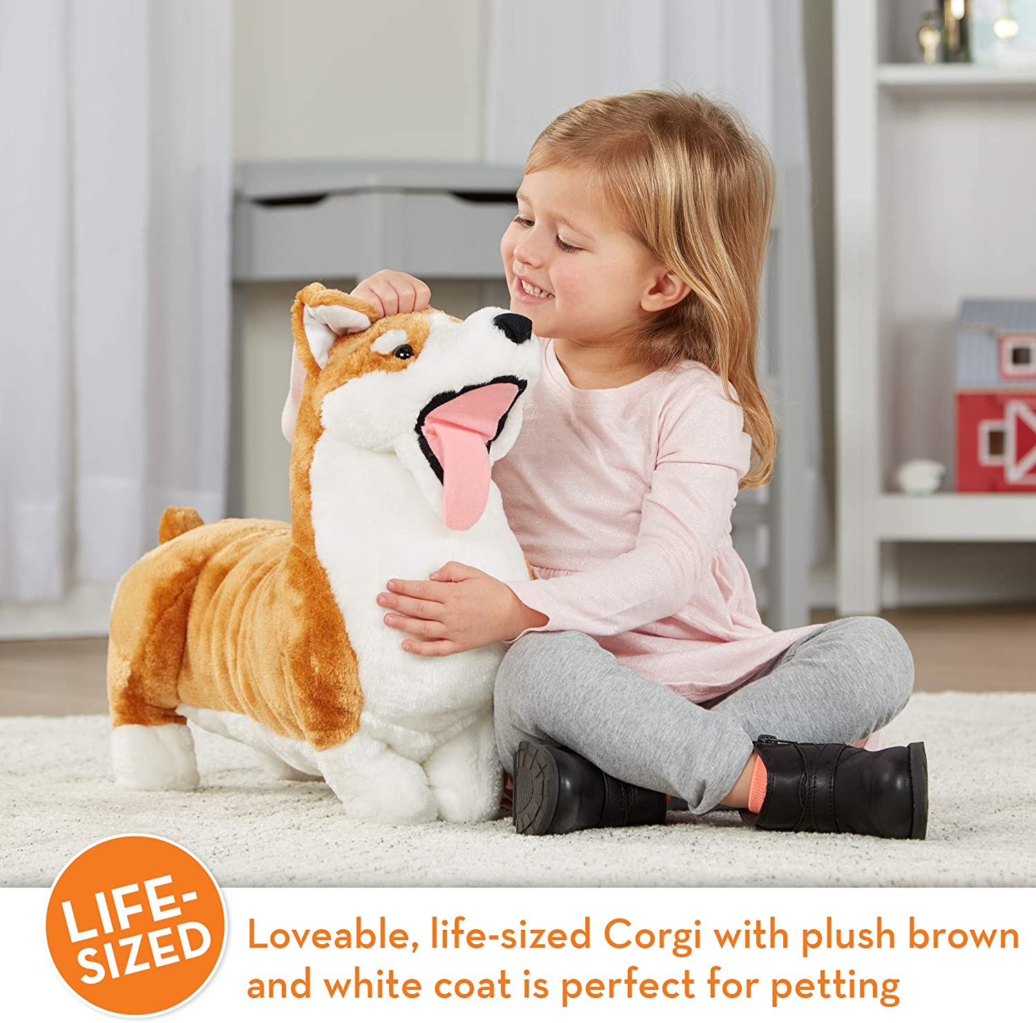 D Corgi