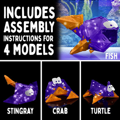 * Creatto Flashy Fish & S