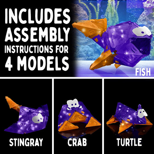* Creatto Flashy Fish & S