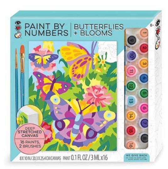 X Paint Number Butterflie