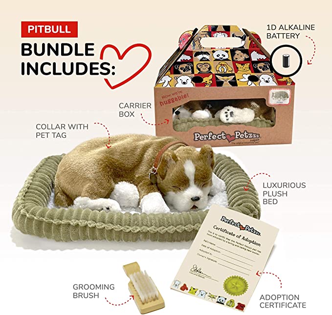 X Pit Bull Perfect Pet