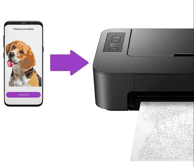 Paintable Pictures Pets