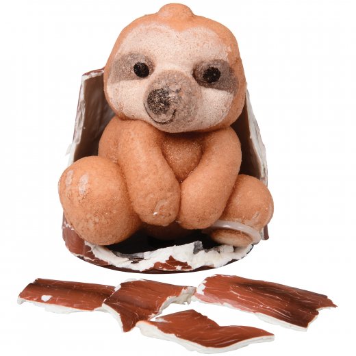 Hide N Seek Grow Sloth