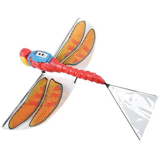 X Dragonfli