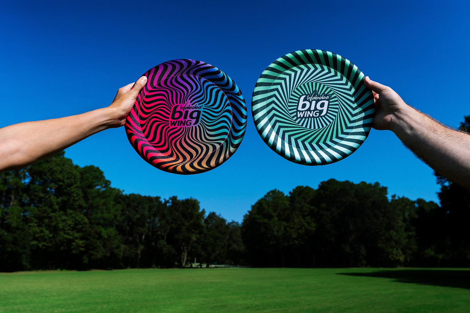 Bigwing