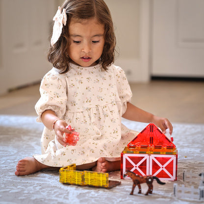 Farm 25pc Magnatiles