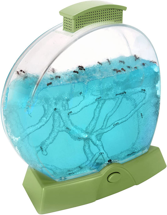 Geosafari Ant Farm Amz