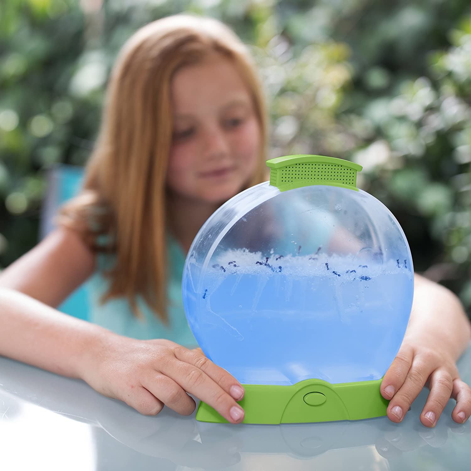 Geosafari Ant Farm Amz